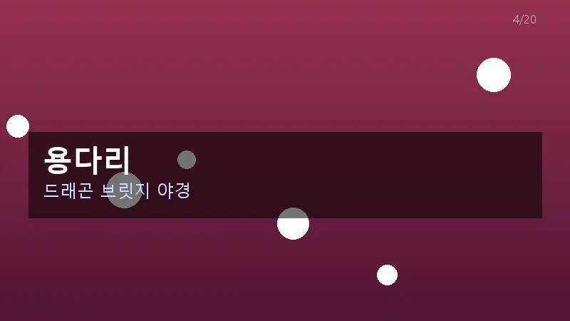 용다리 야경